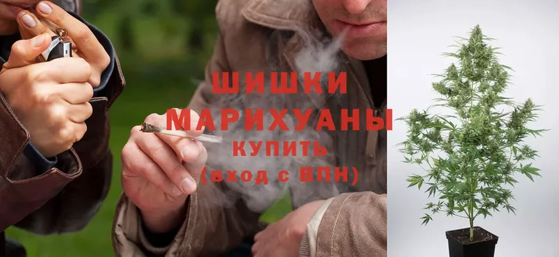 mega вход  shop наркотические препараты  Бошки Шишки White Widow  Мыски 